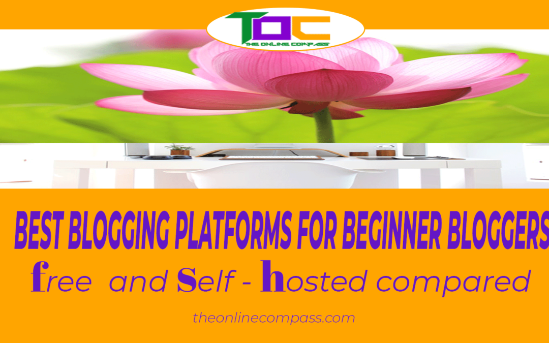 Best blogging platforms: Self hosted or free blog sites