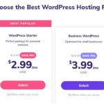Hostinger best wordpress hosting plan
