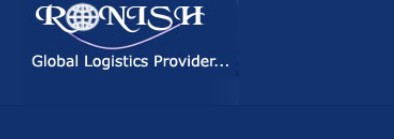 Ronish Nigeria ltd - a logistics and freight forwarding firm dominating the industry in search engines for its target keywords