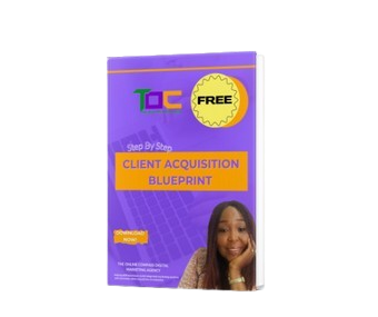 Client acquisition blueprint. Free download 