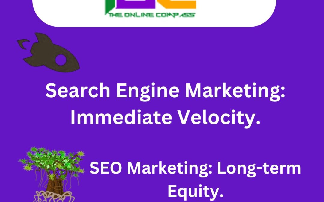 SEO Marketing vs Search Engine Marketing: The B2B Growth Guide